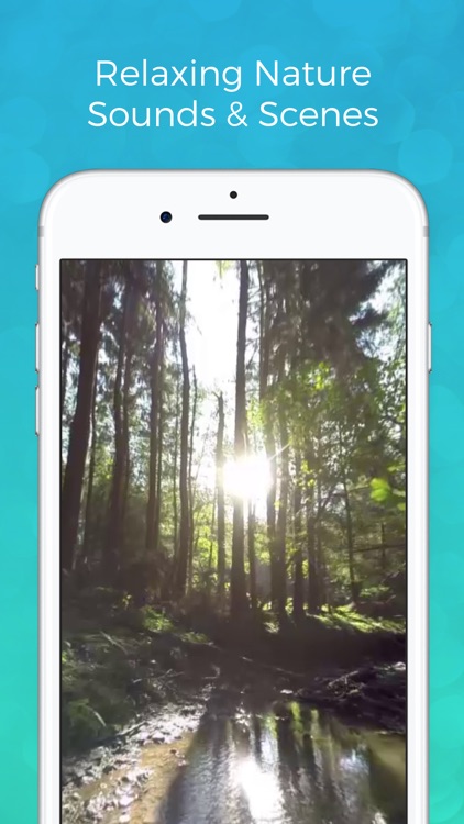 Relax VR: Rest & Meditation in Virtual Reality screenshot-3