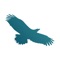 "Introducing the Strategy Deployment Institute e-learning courses"