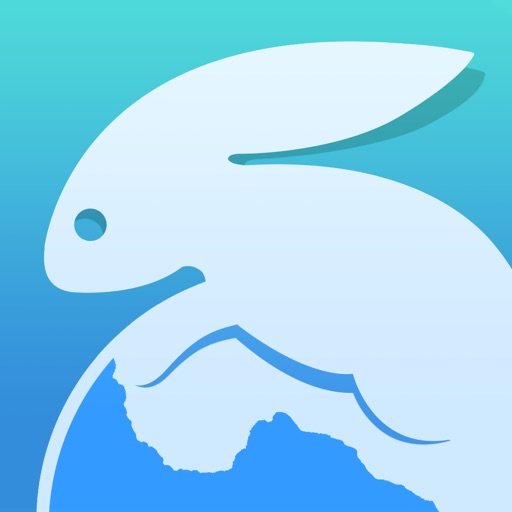 Snowbunny Private Web Browser iOS App