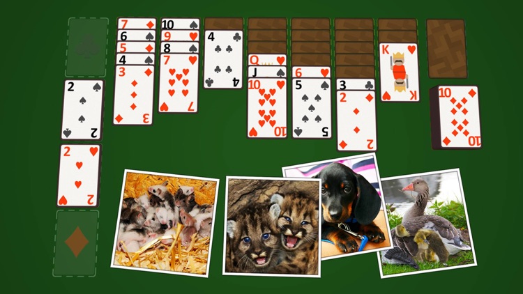 Solitaire Baby Animals