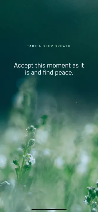 #Mindful: Screenshot 6 von 7