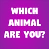 Icon Which Animal Are You?