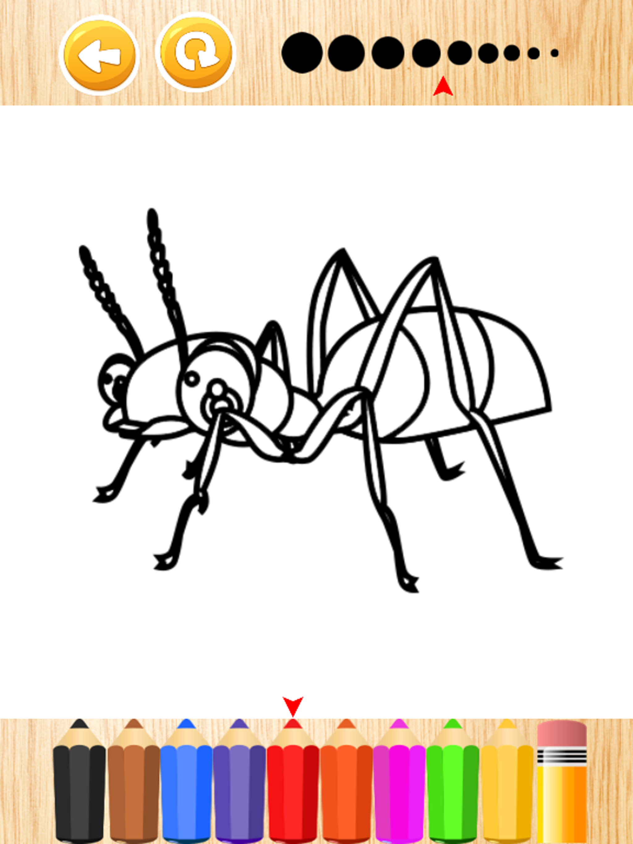 Ant and slither bug coloring book for kids games screenshot 6