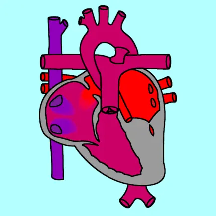 Single Ventricle Circulation Cheats