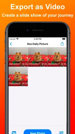Game screenshot Daily Picture - Selfie a day apk
