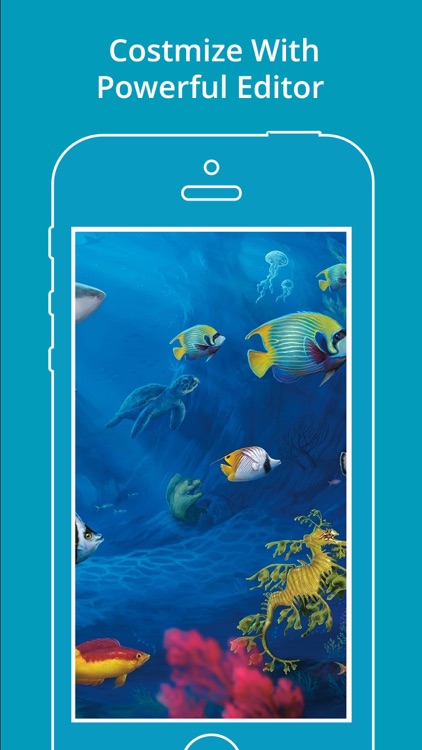 Aquarium Wallpapers | Backgrounds screenshot-3