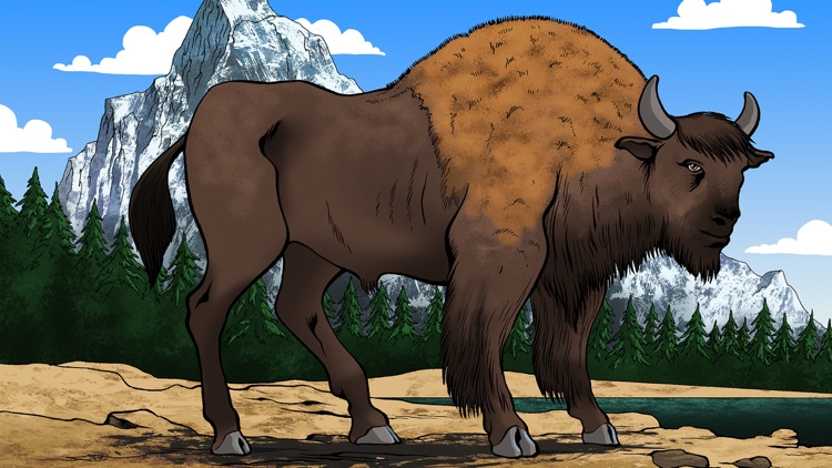 Animal Puzzle Jigsaw