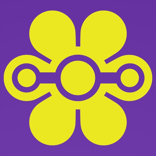 LifePath iBoard