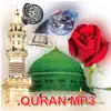 Offline Quran | Mukhtar alHajj contact information