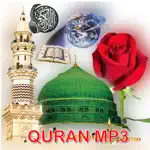 Offline Quran | Mukhtar alHajj App Cancel