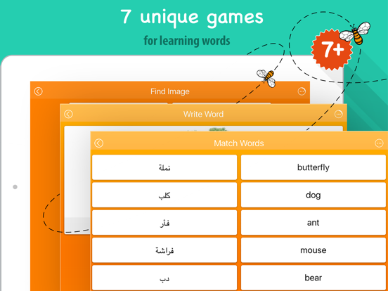 6000 Words - Learn Arabic Language for Free iPad screenshot 4 - Education app