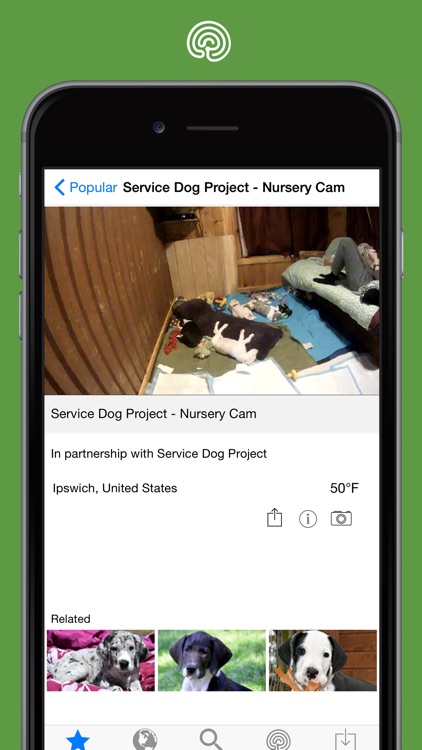 explore.org screenshot-3