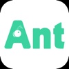 The Ant Work
