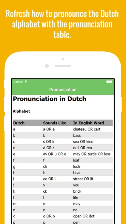 Dutch Flashcards with Pictures Lite