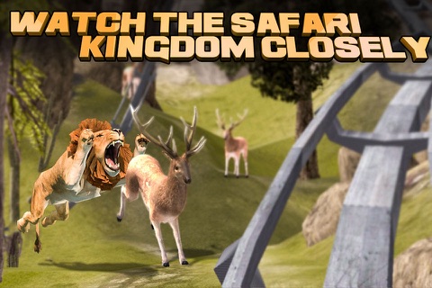 VR Roller Coaster Safari Tour - Virtual Reality screenshot 4