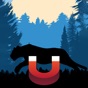 Mountain Lion Magnet app download