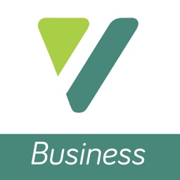 VllesaWallet Business