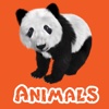 Animals & Animal Sounds Kids Toddlers Zoo App Paid