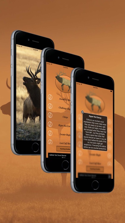 Elk Calls: Hunting Calls screenshot-3