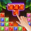 Icon Block Puzzle-Jewels Jungle