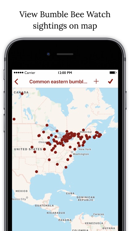 Bumble Bee Watch screenshot-3