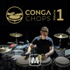 Myxstem - Conga Chops - Vol 1 アートワーク