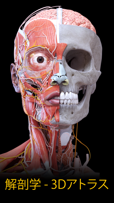 解剖学 - 3Dアトラススクリーンショット