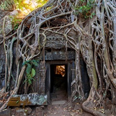 Activities of Cambodian Temple Treasure Escape