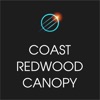 Coast Redwood Canopy