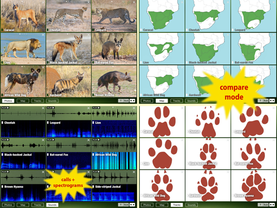 Mammal Guide of Southern Africa iPad app afbeelding 4