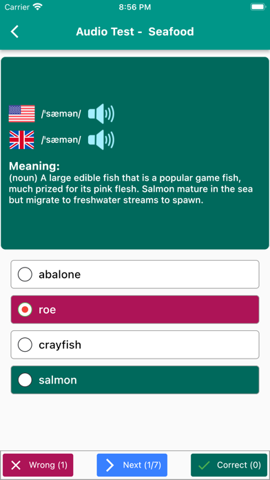 English Vocabulary in Use Screenshot