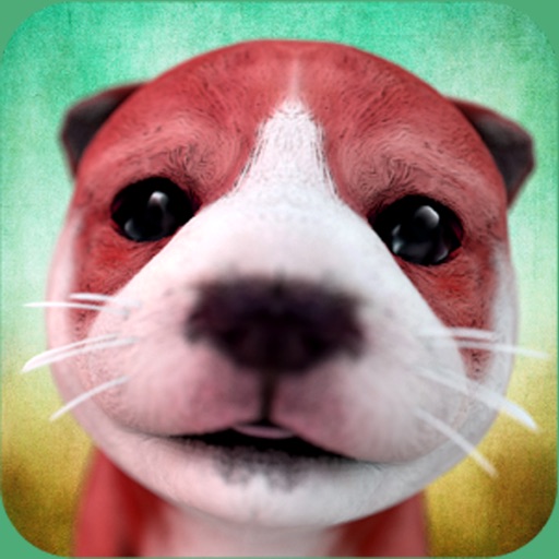 Unique Dog Match Games Icon