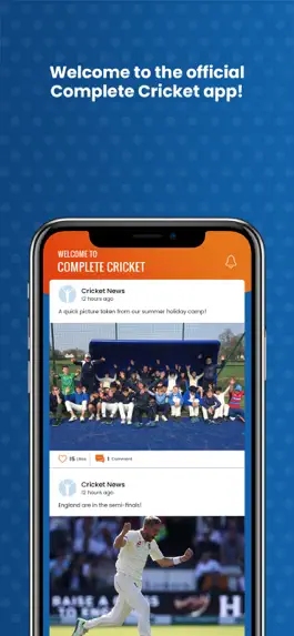 Game screenshot Complete Cricket mod apk