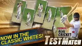 Game screenshot Real Cricket™ Test Match apk