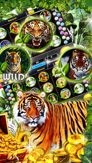 Full House Slots: Have fun at Vegas casino(圖1)-速報App