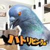 ハトリビング｜鳩がリビングで豆を食べるゲーム - iPhoneアプリ