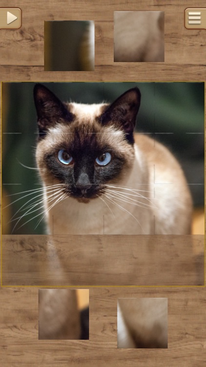 Cat Jigsaw Puzzles screenshot-3