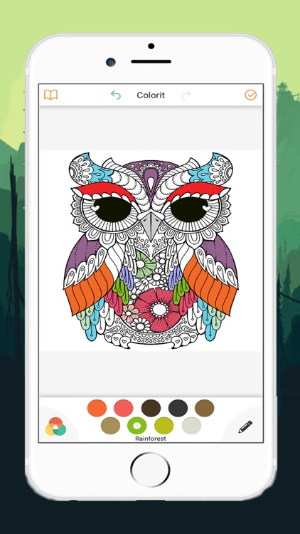 Cute Owl Coloring Drawing Pages for Kid