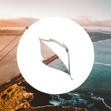 New Life Novato Cheats