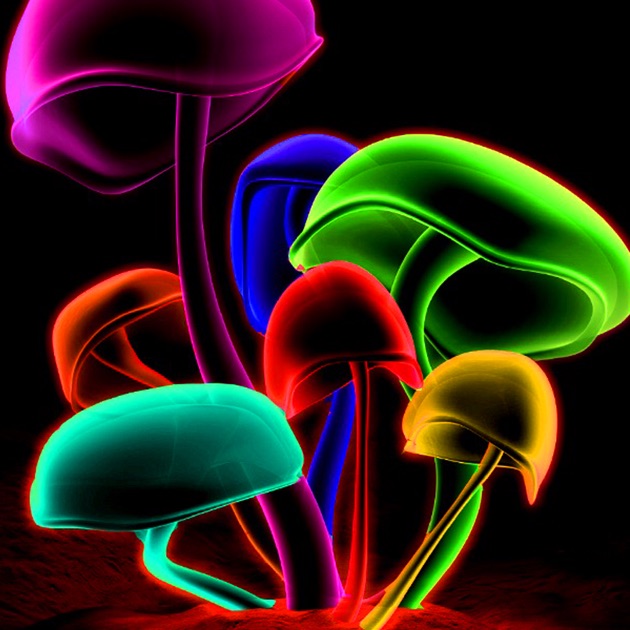 Neon Wallpapers – Neon Arts & Neon Pictures HD on the App ...