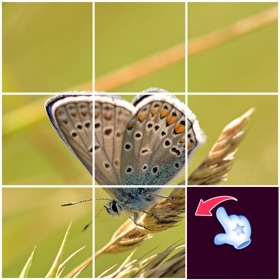 Screenshots (7) Slide Picture : Jigsaw Puzzle