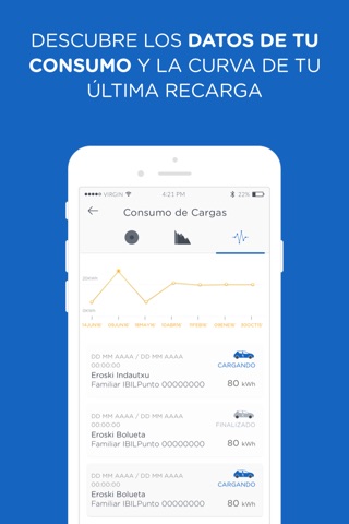 IBIL Electric Mobility Repsol screenshot 4