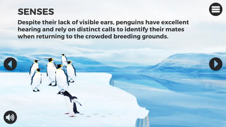 Knowee : Penguins iPhone Screenshot 4