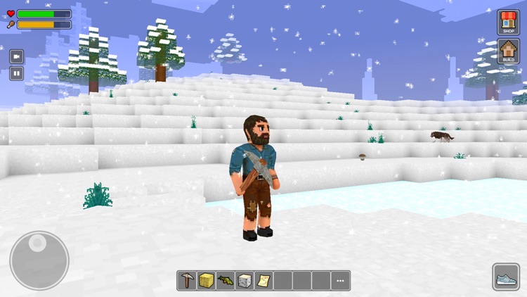 Craft World 3D: Sandbox Games