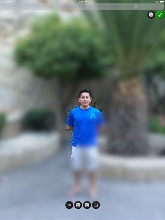 Blur Image iPad screenshot 5 - Photo & Video app