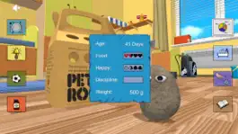 Game screenshot Pet Rock apk