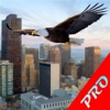 Birds Flight Simulation 3D