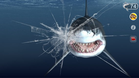 Talking Great White : My Pet Shark screenshot