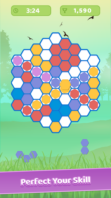 Hexa Blitz: The block puzzles Screenshot