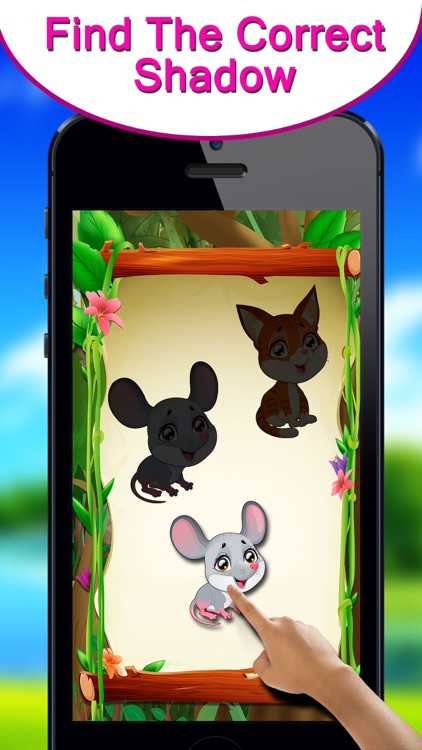 Animals Flash Card For Kids